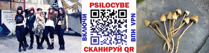 ОМГ ОМГ ссылки  Барабинск  Псилоцибиновые грибы мицелий 